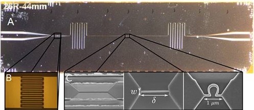 Project1 Figure1