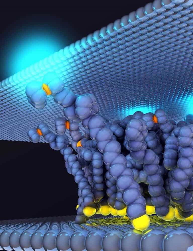 Record Rectification Ratio in a Molecular Diode Del Barco Lab
